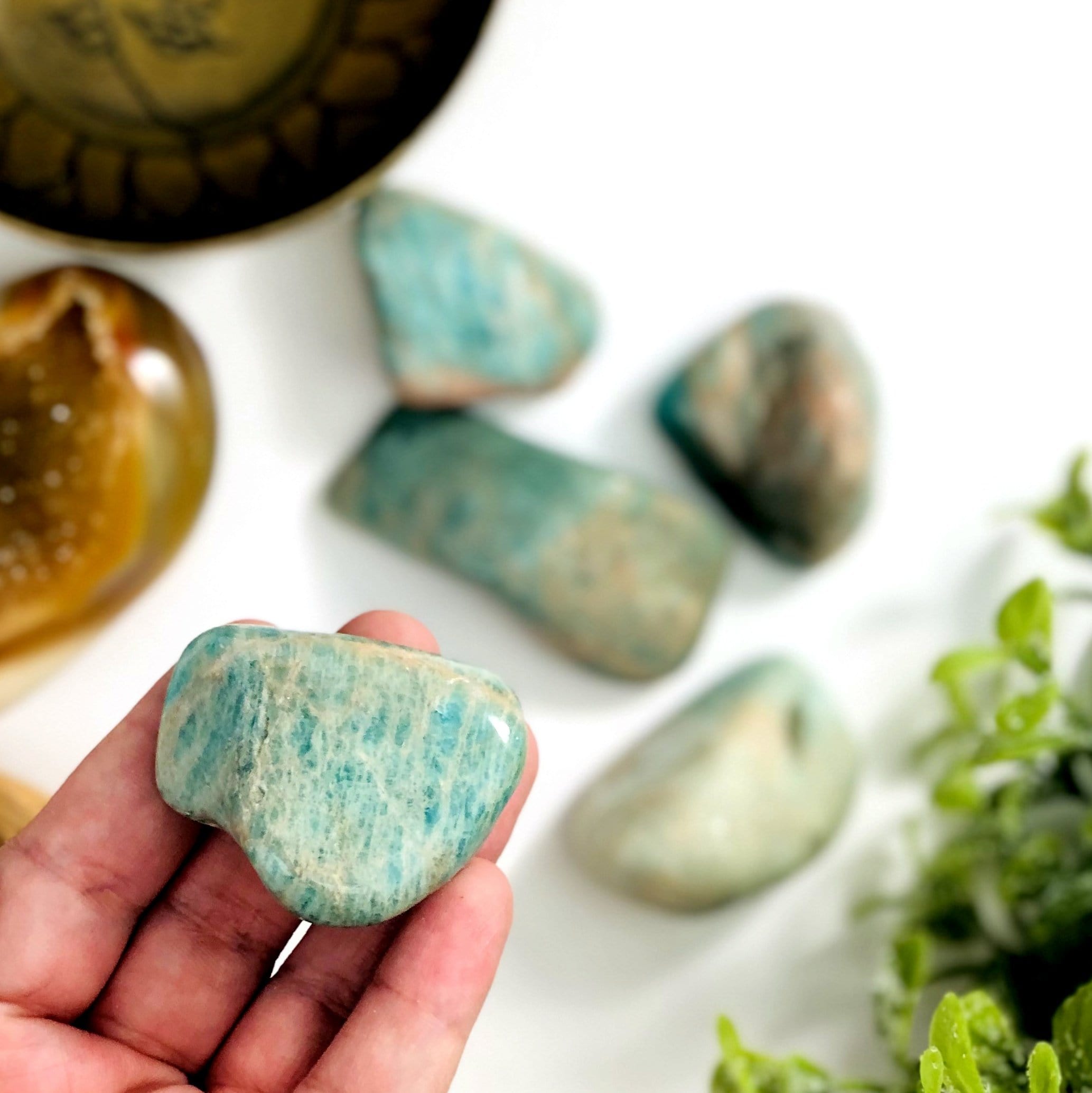 10 Pieces of Amazonite Tumbled Stones - Large Polished Beauties - Buy in Bulk! - (TS-81)