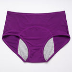 New Upgrade High Waist Leak Proof Panties