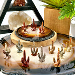 Soapstone Cactus Crystal Carving from Peru - You Choose Color