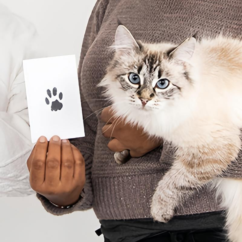 Pet Paw Printing Kit