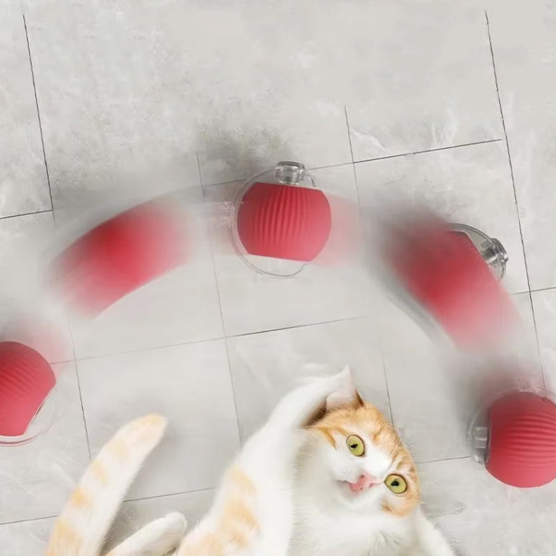 Indoor Cat Interactive Ball