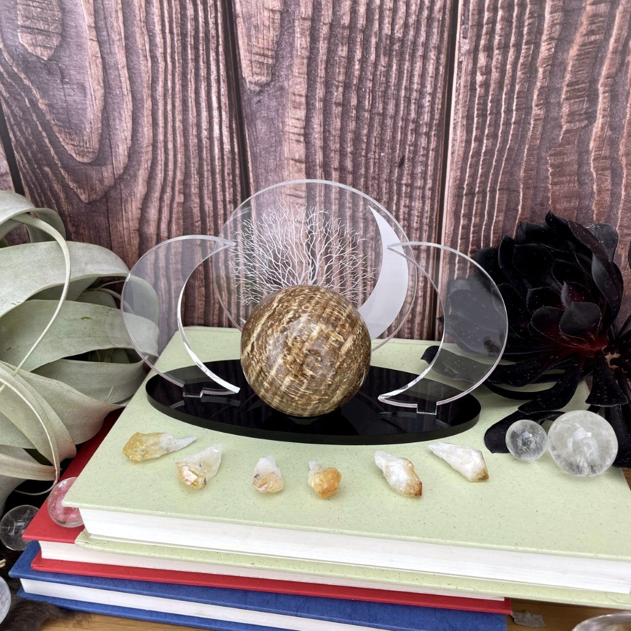 Acrylic Sphere Holder Crescent Moons - Tree of Life - (OF1-S1-B4)