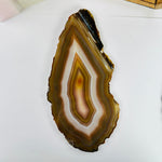 Agate Crystal Slices Set of 3 Slabs