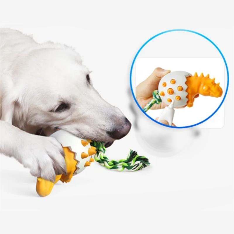 Dinosaur Eggs Dog Chew Toys