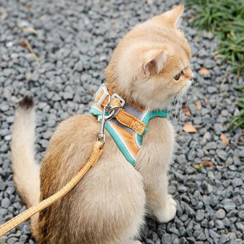 Cat Vest Harness and Leash Set