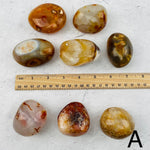 Lot of 8 Carnelian Agate Tumbled Palm Stones - You Choose