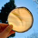 Agate Slice Set - Set of Two Agate Crystal Coasters