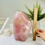 Extra Large Rose Quartz Freeform Cut Base Crystal