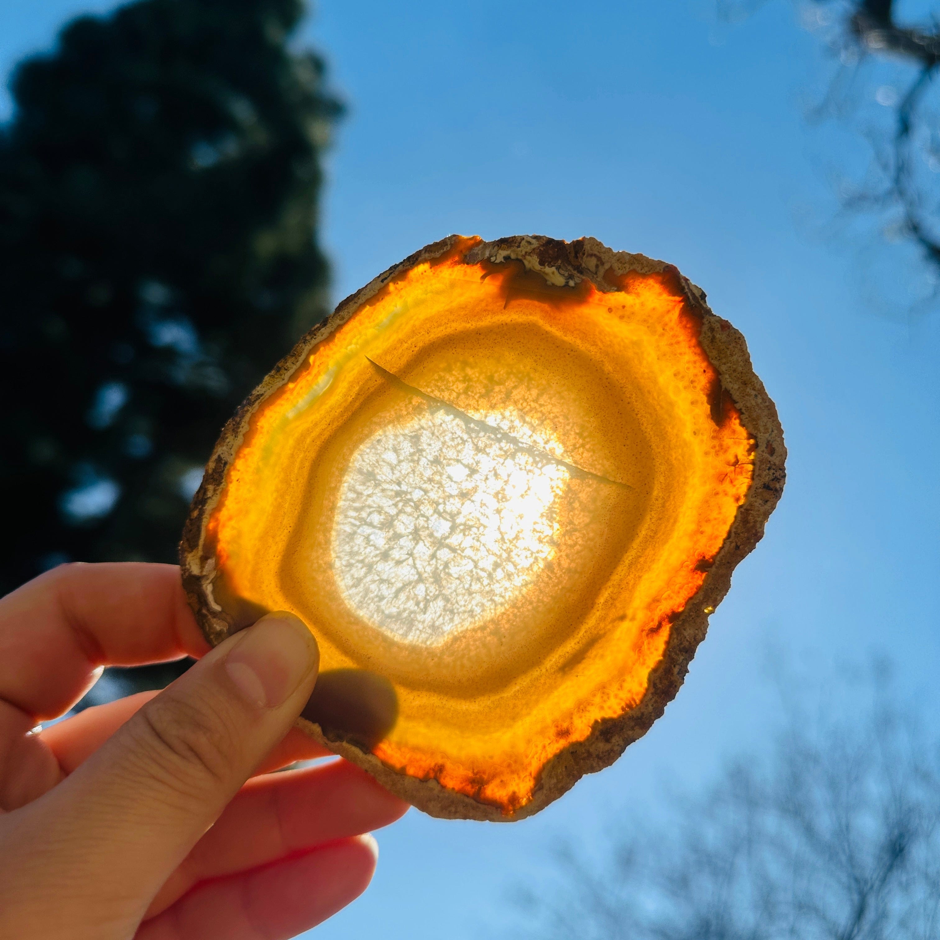 Agate Slice Set - Set of Eight Agate Crystal Coasters