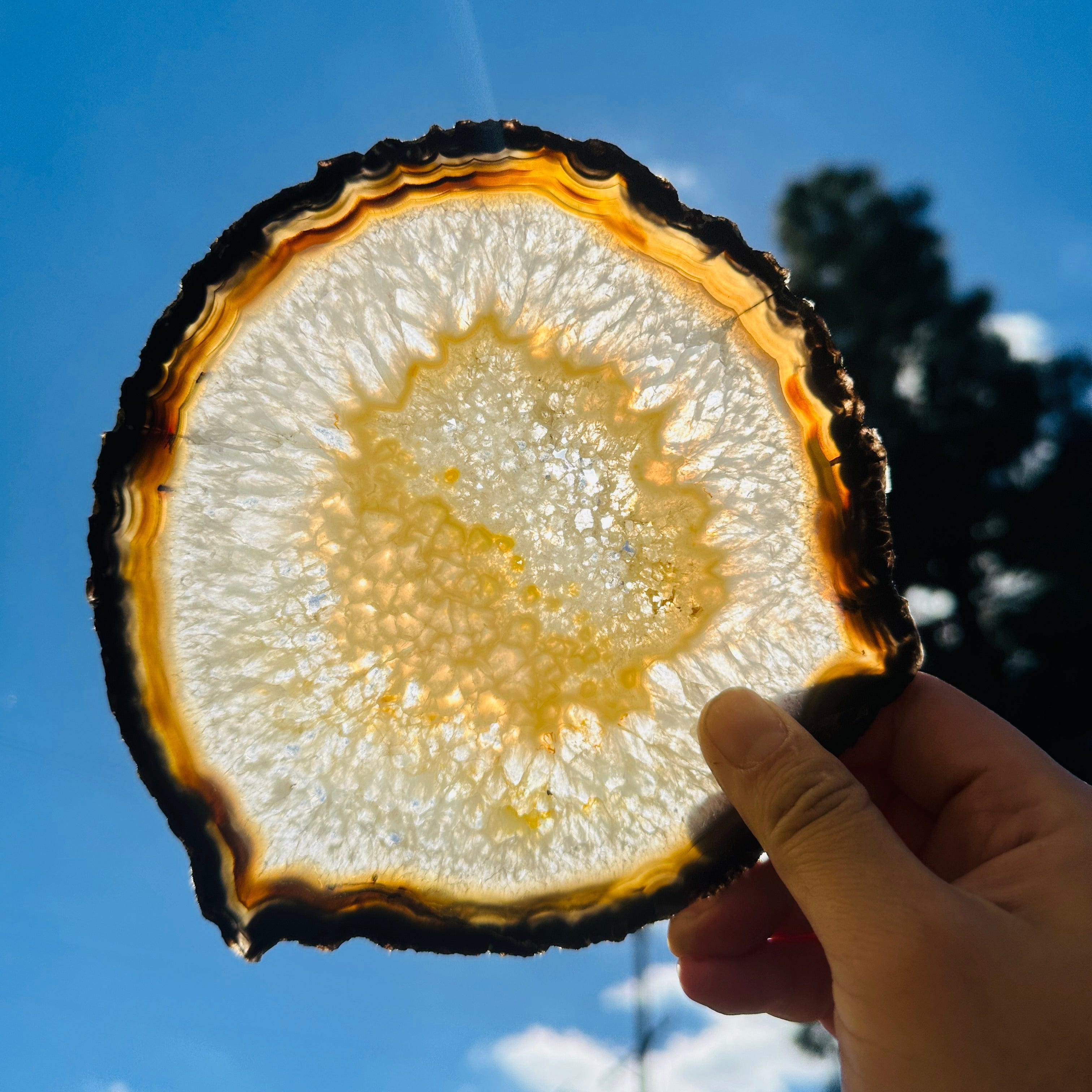 Agate Slice Set - Set of Five Agate Crystals Extra Quality Agates