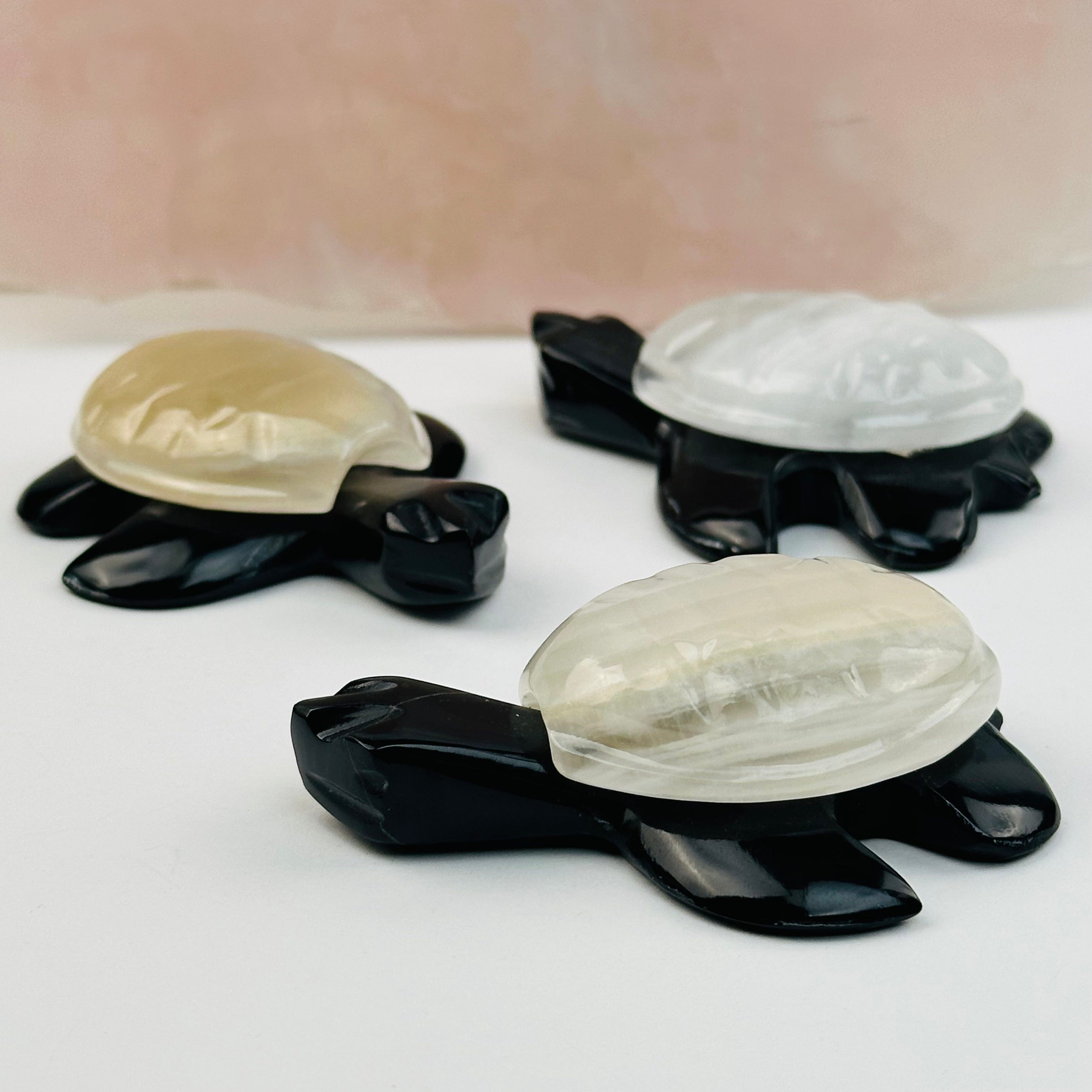 Black Onyx Sea Turtle with Light Onyx Shell