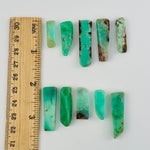 10pc Chrysoprase Semi-Polished Long Beads - Top Side Drilled