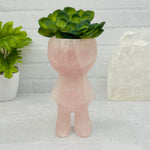 Carved Gemstone Plant Person - Large Pot