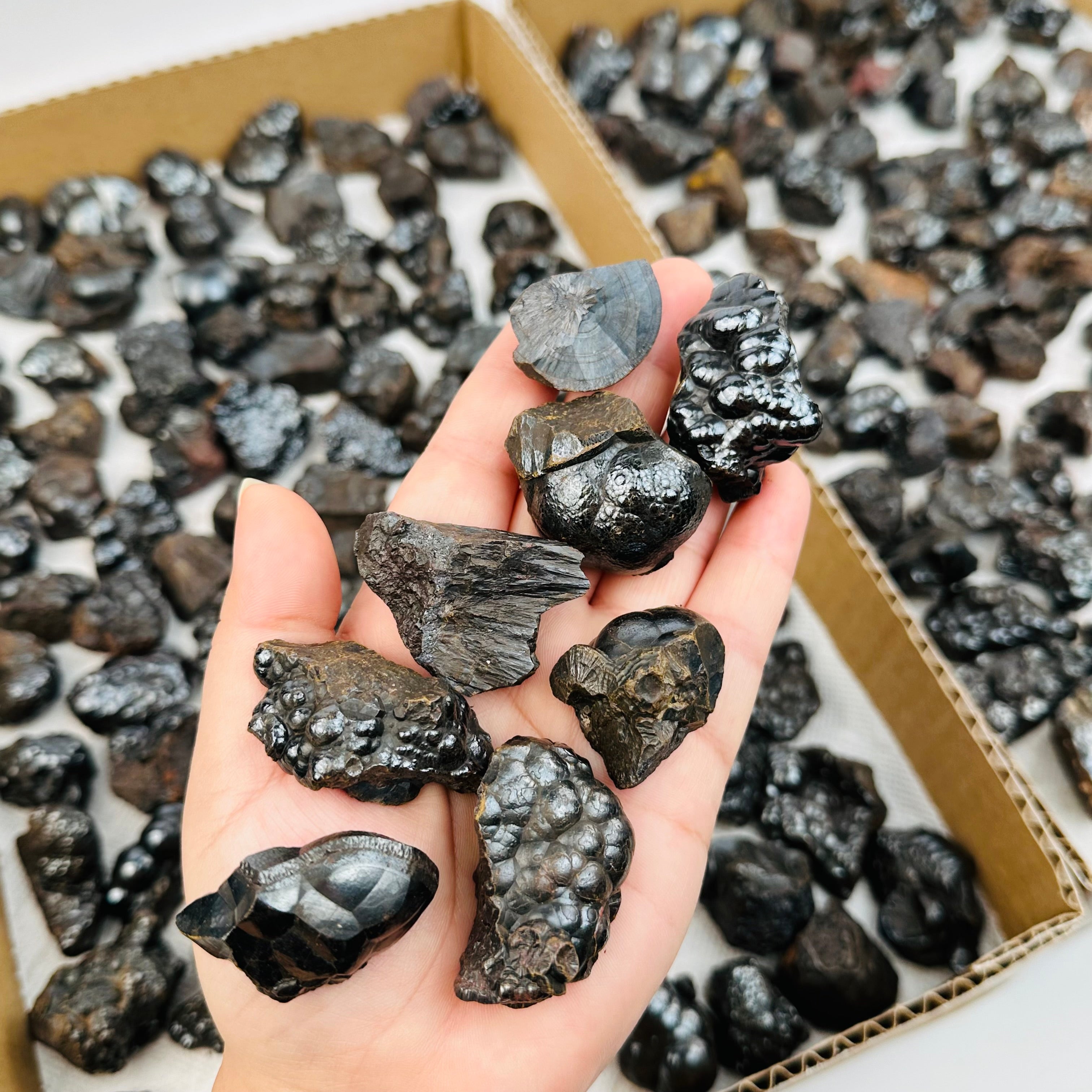 1 Flat box of Botryoidal Hematite Freeform Crystal Minerals 50-90 pcs Bulk Minerals