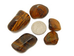 Tiger Eye Medium Tumbled stones