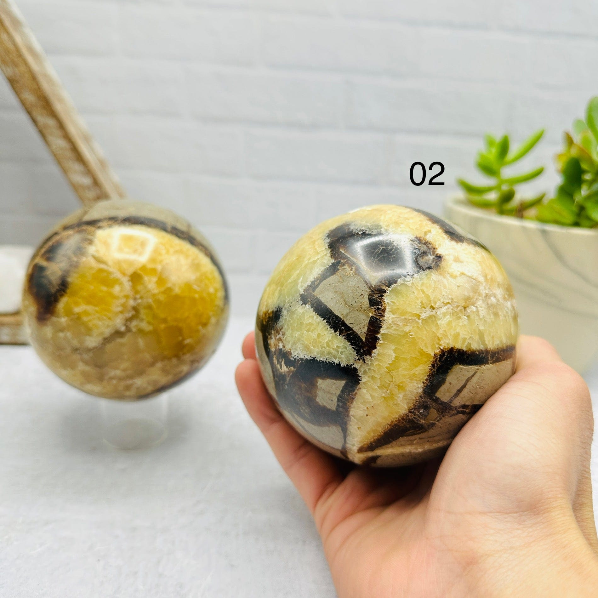 Septarian PolishedSpheres - You Choose