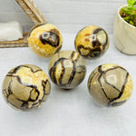 Polished Septarian Sphere - You Choose