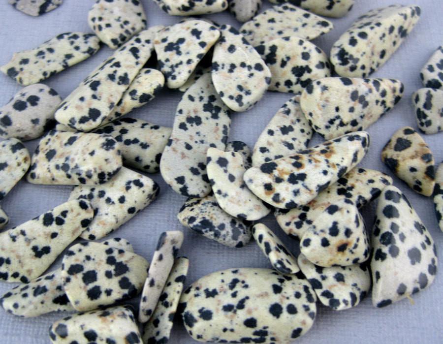 5 pc Dalmatian Jasper Crystal Chips-- Tumbled Dalmatian Jasper Chips